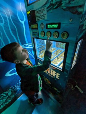 SEA LIFE San Antonio by null