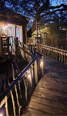 Savannah's Meadow by null