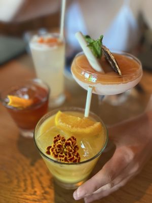 Élephante Scottsdale by null