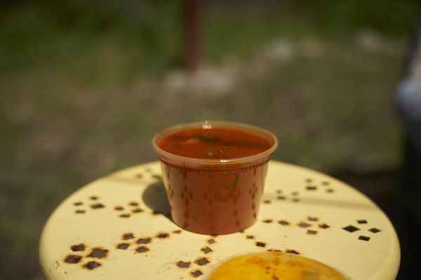 Tandoori Vibes - Indian Restaurant & catering by null