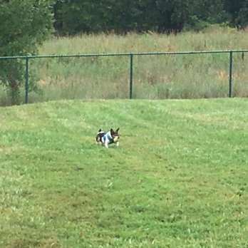 Quail Ridge Park - Great for ball tossing - Dog Parks Near Me - Wentzville, Missouri Quail Ridge Park - Great for ball tossing - Dog Parks Near Me - Wentzville, Missouri