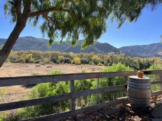 Hitching Post Wines by null