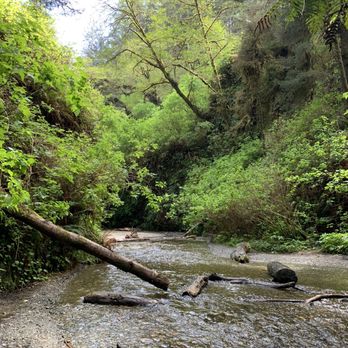 Fern Canyon Trailhead - Parks Near Me