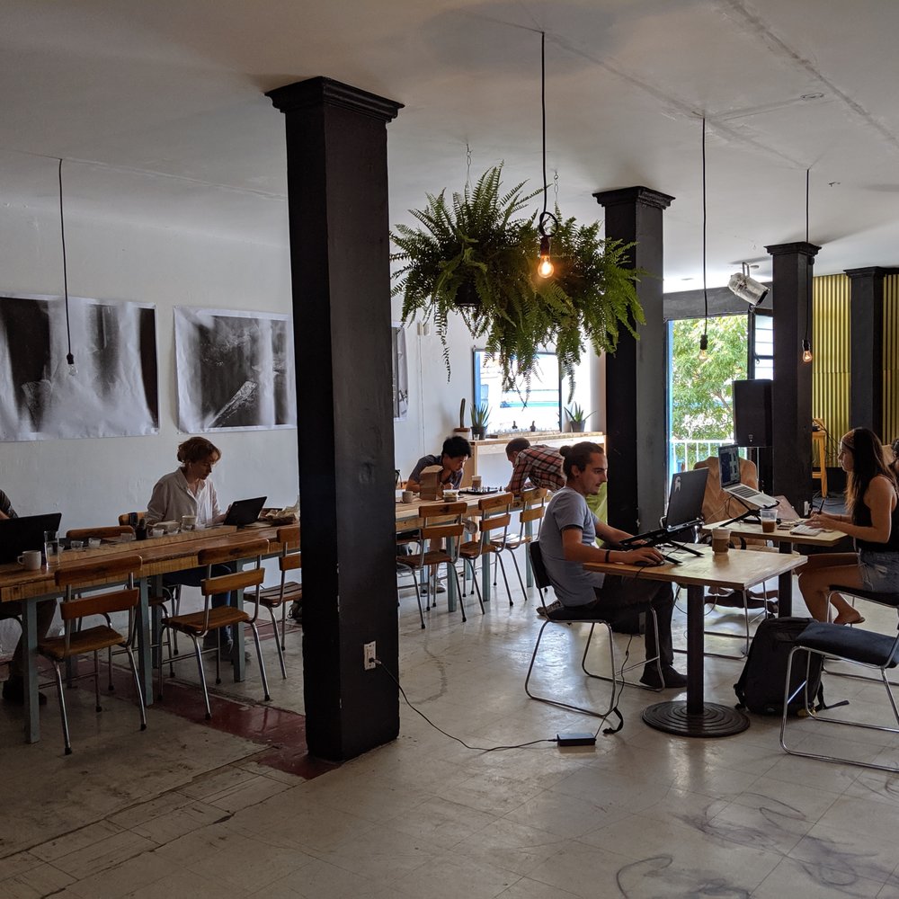 Convivio - natural light for coworking is nice - Shared Office Spaces Near Me - Oaxaca, OAX