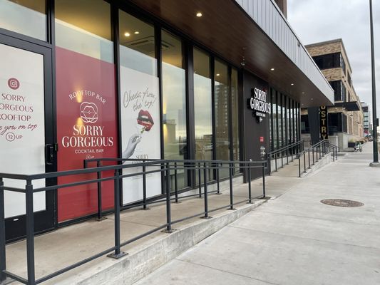 Sorry Gorgeous by null