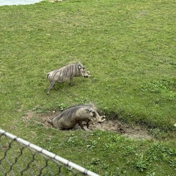 Columbus Zoo and Aquarium - Zoos Near Me - Powell, Ohio