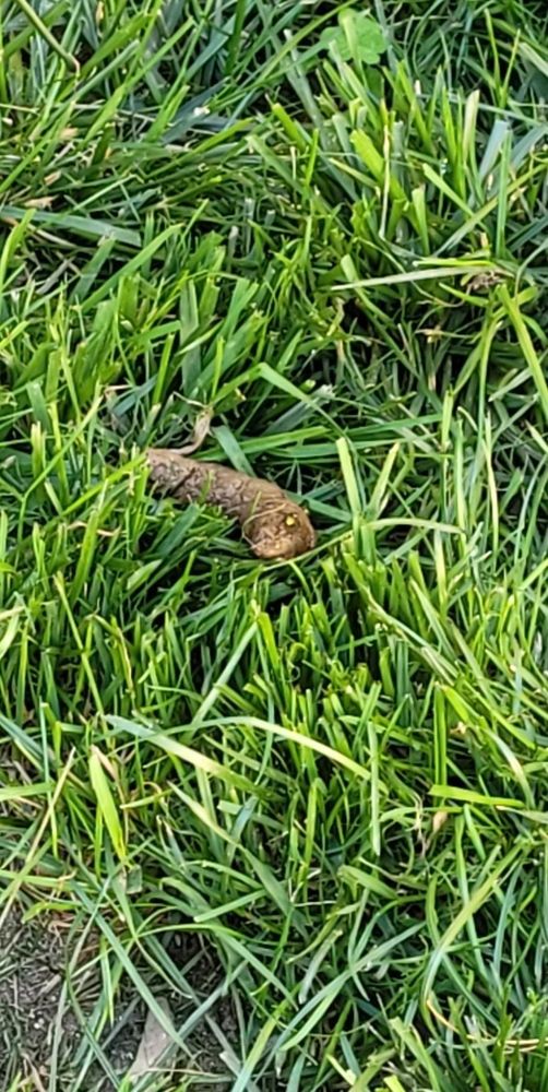 KM PROPERTY MANAGEMENT Updated October 2024 15 Photos & 12 Reviews