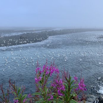 Valdez Alaska - View from the Solomon Fish Hatchery. - Airlines Near Me - Valdez, Alaska