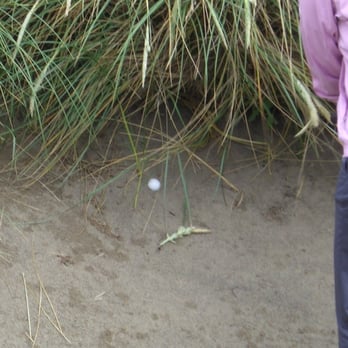Bandon Dunes Golf Resort - No joke bunkers! - Golf Near Me - Bandon, Oregon Bandon Dunes Golf Resort - No joke bunkers! - Golf Near Me - Bandon, Oregon