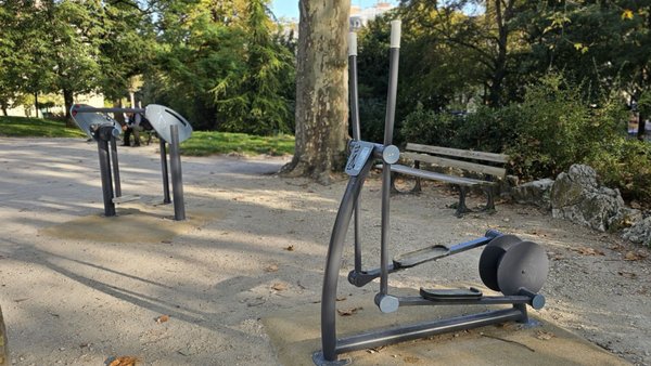 Darcy Garden by null