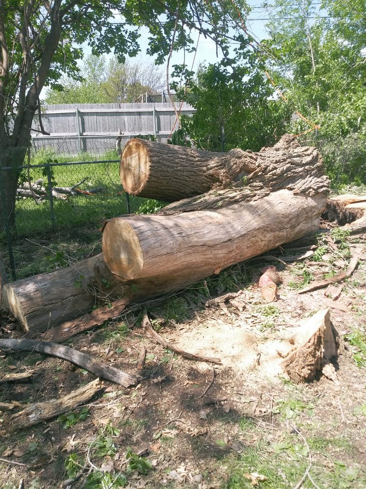 AD Lopez Tree Services - tree service in Oklahoma City, OK