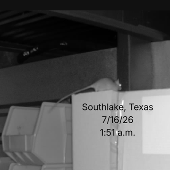 Public Storage - A Rat Inside a Unit in the Main Building - Self Storage Near Me - Southlake, Texas