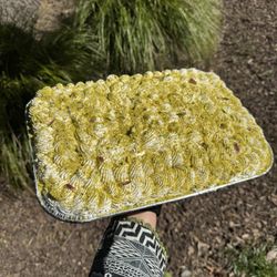 Sukoon Bakery - Pistachio Milk Cake