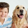 Photo of No 2 Rd Animal Hospital