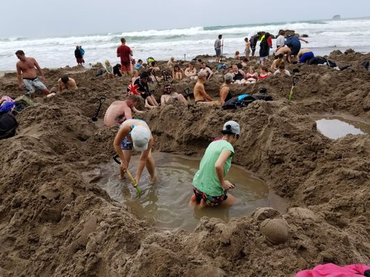 Hot Water Beach TOP 10 Holiday Park by null