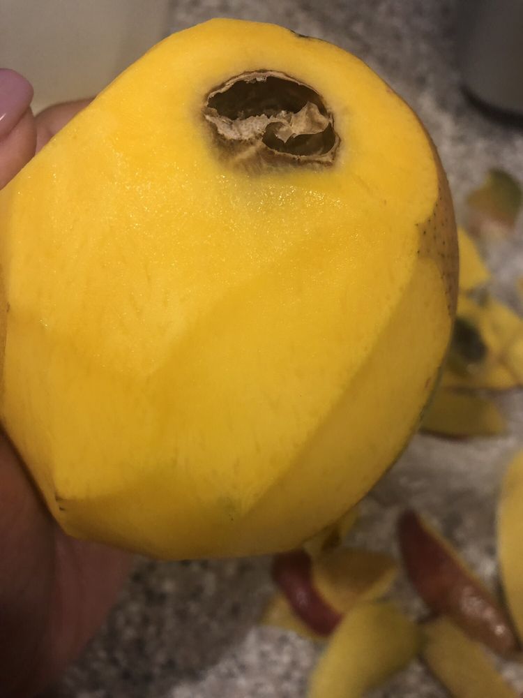 LAMBERT’S RAINBOW MARKET 57 Photos & 184 Reviews 220 Providence Hwy, Westwood, Massachusetts