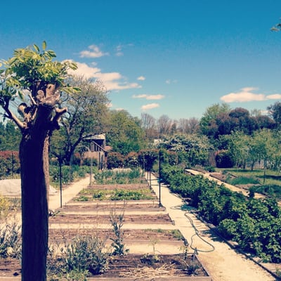 Grazing Restaurant by null