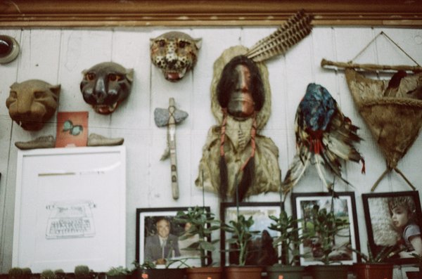 Adams & Son & Daughter Gardens by null