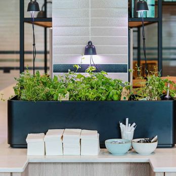 Hotel Berlin, Berlin - Breakfast Area - Hotels Near Me - Berlin, BE Hotel Berlin, Berlin - Breakfast Area - Hotels Near Me - Berlin, BE