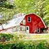 JC farms of north carolina gift card