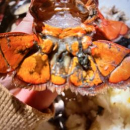 Rotten lobster tails
