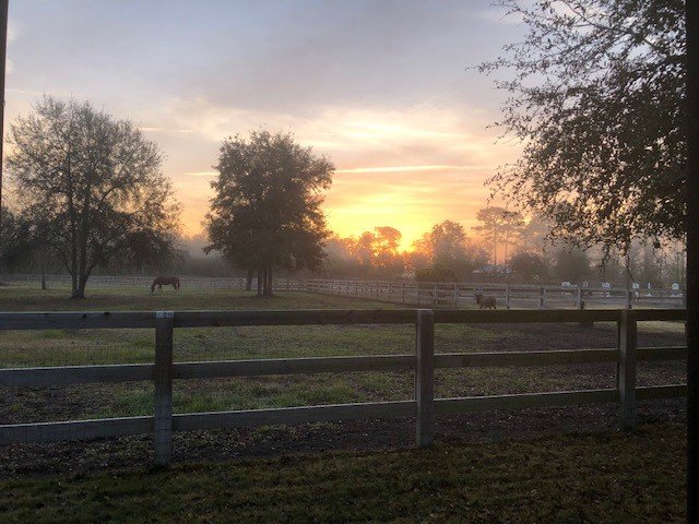 Wishlist Farm - equestrian in Brunswick, GA