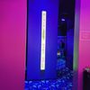 Blacklight Mini Golf gift card