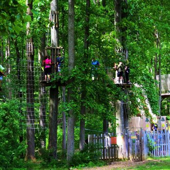 Lums Pond State Park - Go ape doing what they supposed to do.. - Boating Near Me - Bear, Delaware