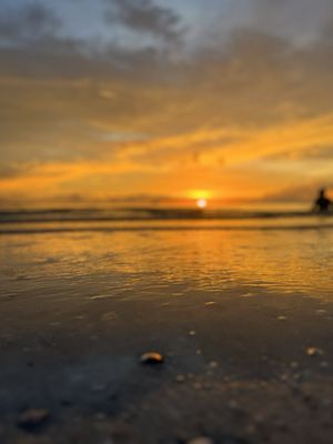 JW Marriott Marco Island Beach Resort by null