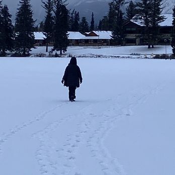 Fairmont Jasper Park Lodge - Hotels Near Me - Jasper, Alberta