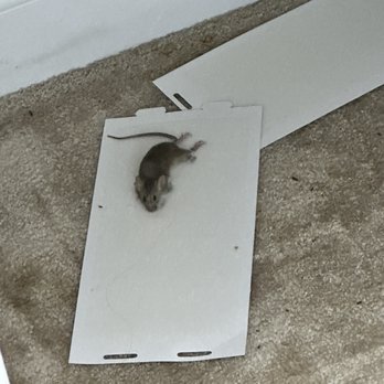 Altitude Apartments - Mice - Apartments Near Me - Malden, Massachusetts