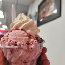 Coyle's Ice Cream - My strawberry raspberry masterpiece