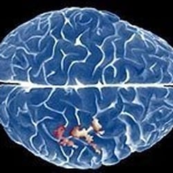 The Secret Science Club - From the website: http://secretscienceclub.blogspot.com/