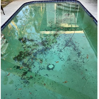 Belleair Pool Service and Supply - Hot Tub & Pool Near Me - Largo, Florida Belleair Pool Service and Supply - Hot Tub & Pool Near Me - Largo, Florida
