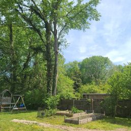 Cut out some lower branches hanging over garden. Cut out some lower branches hanging over garden.