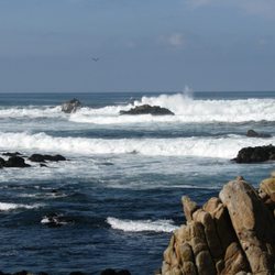 Berberian School of Fine Arts - Seascape Painting Course