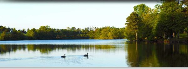 Savin Michigan SAVIN LAKE SERVICES - Updated July 2026 - 14 Photos - 3088 Hottis Rd ...