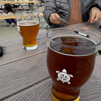 New Terrain Brewing - Punky masala and Joshua tree beers! - Breweries Near Me - Golden, Colorado New Terrain Brewing - Punky masala and Joshua tree beers! - Breweries Near Me - Golden, Colorado