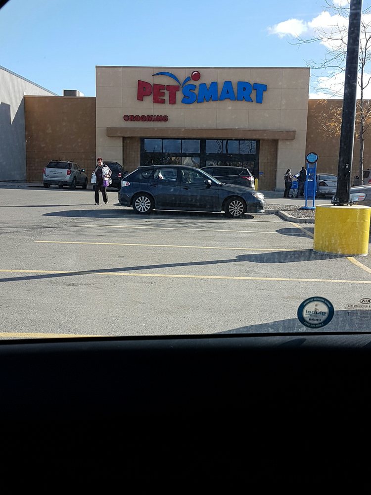 petsmart brook rd
