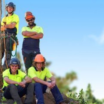 Olivares Tree Service - Tree Services Near Me Olivares Tree Service - Tree Services Near Me