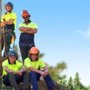 Photo of Olivares Tree Service
