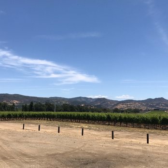 Nickel & Nickel - Grapes!! - Wineries Near Me - Oakville, California
