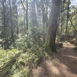Weowna Park