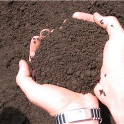 Topdressing Soil certified organic for organic growing