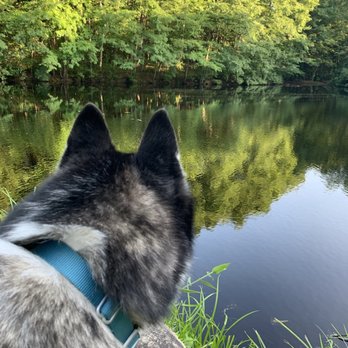 Roosevelt Forest - Hiking Near Me - Stratford, Connecticut