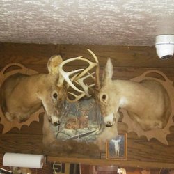 Bakers Buck Hut - Dining room
