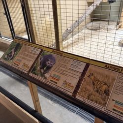 Garlyn Zoo