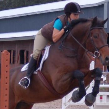 Central Florida Equestrain Center - Horseback Riding Near Me - Apopka, Florida Central Florida Equestrain Center - Horseback Riding Near Me - Apopka, Florida