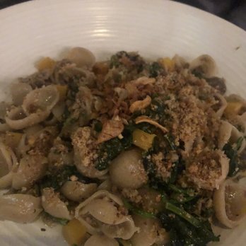 OLIVIA - Orecchiette - Italian Near Me - Tampa, Florida