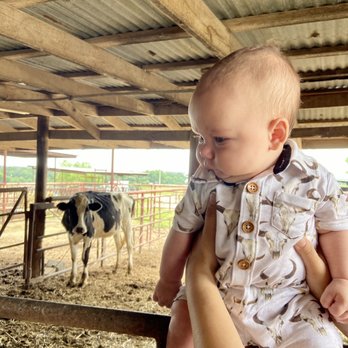 All-Natchur-L Farm - Ranches Near Me - Cleburne, Texas All-Natchur-L Farm - Ranches Near Me - Cleburne, Texas
